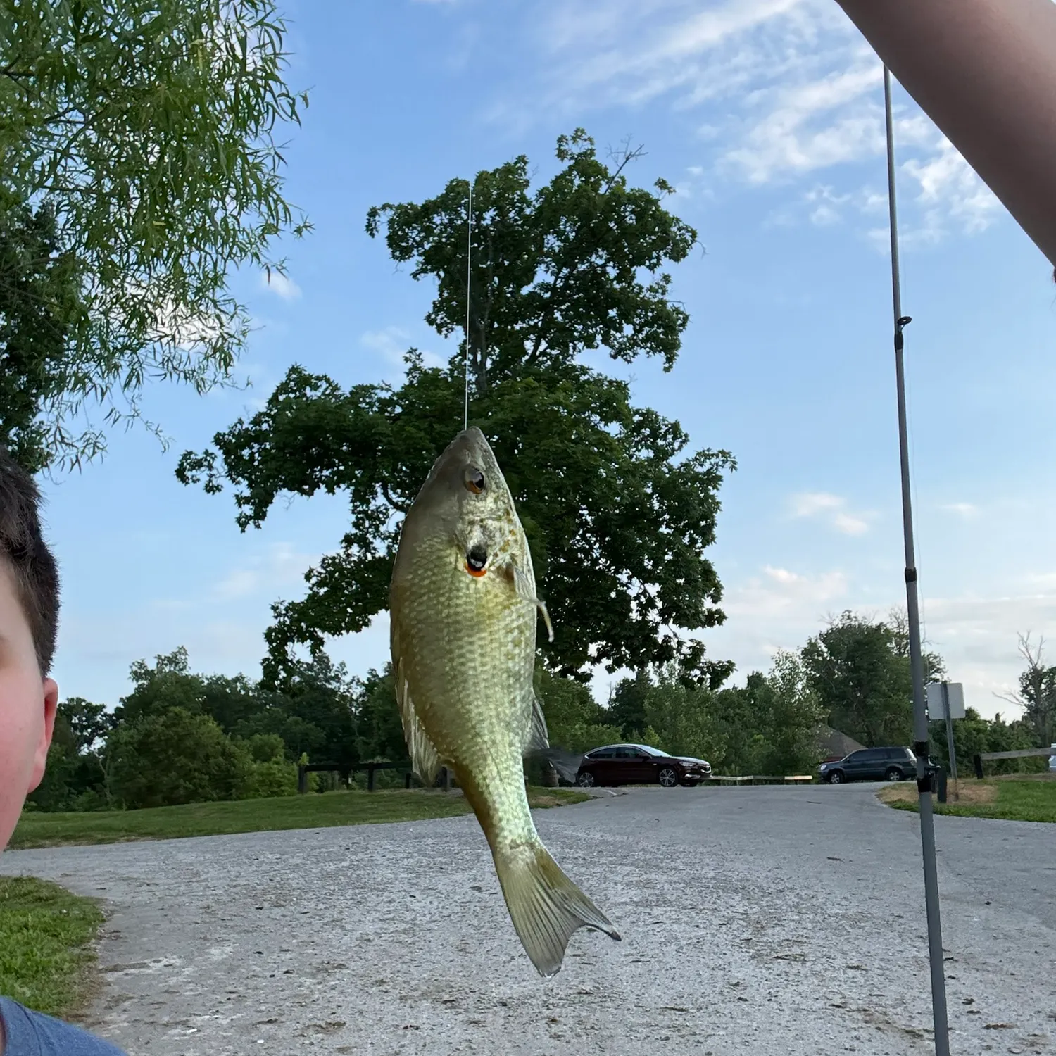 catch