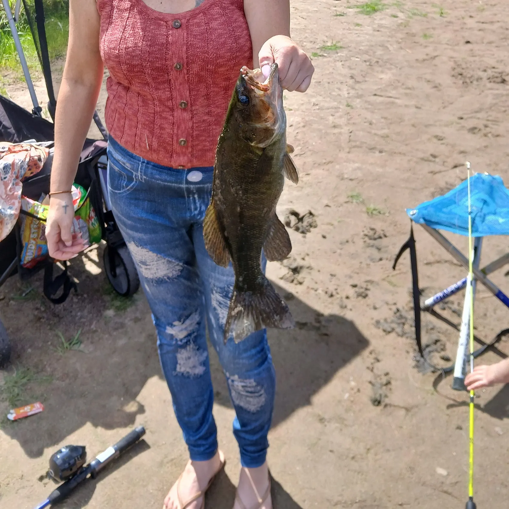 Smallmouth bass caught on Fishbrain