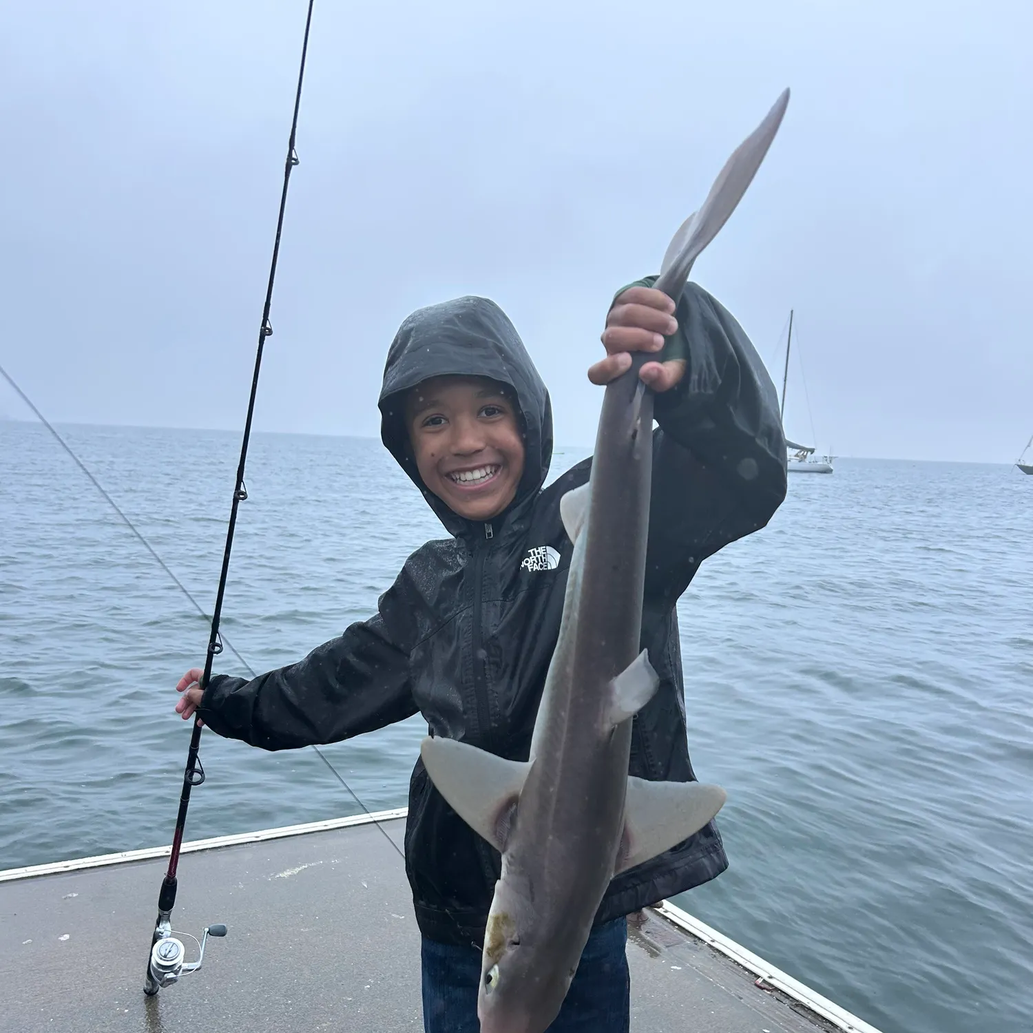 The most recent Pacific spiny dogfish catches on Fishbrain