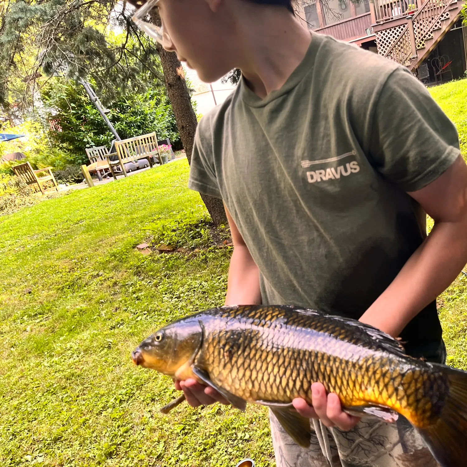 The most recent Common carp catches on Fishbrain