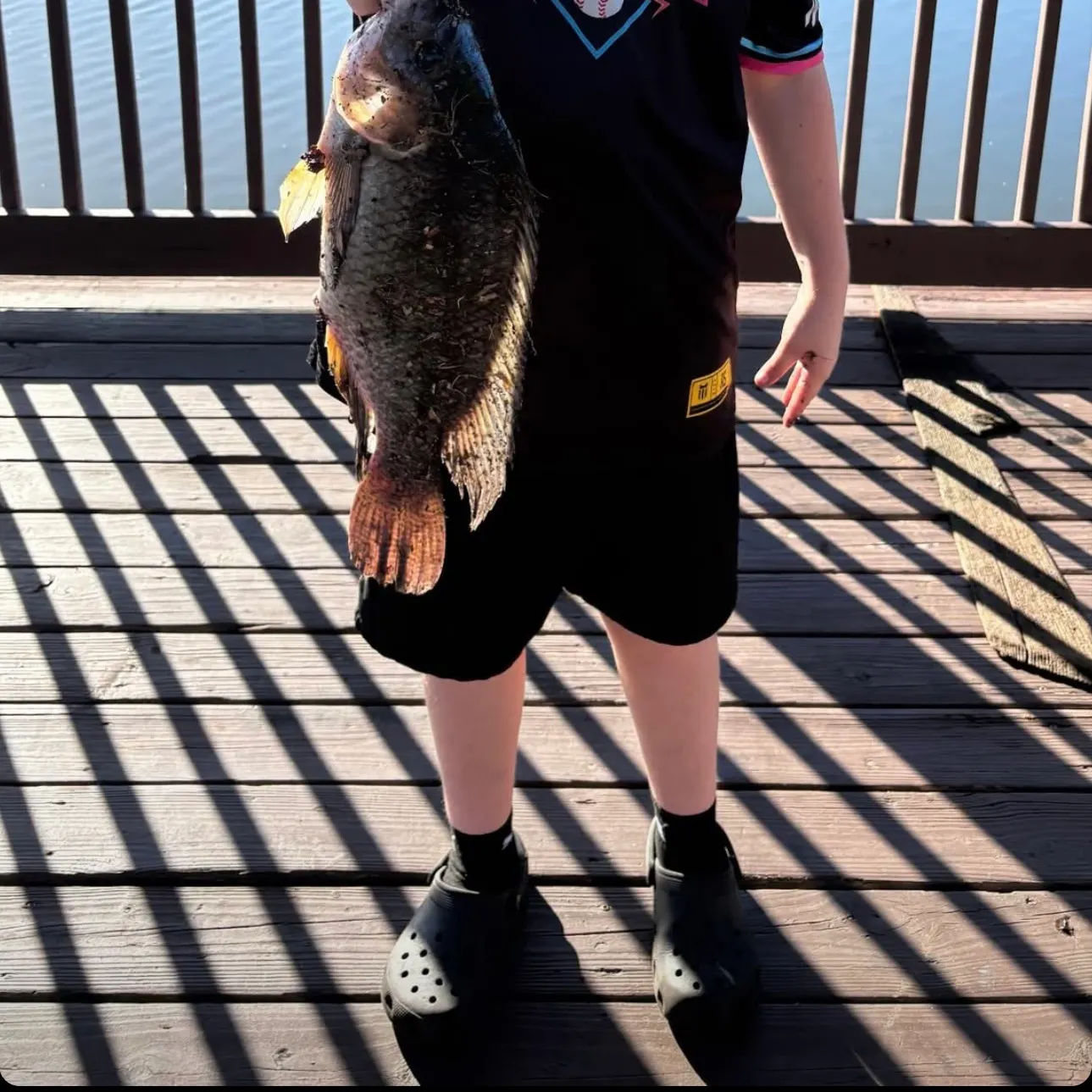 Nile tilapia caught on Fishbrain