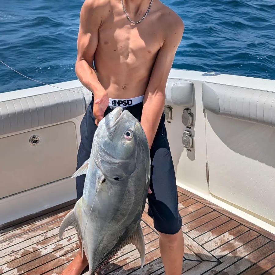 The most recent Pacific crevalle jack catches on Fishbrain