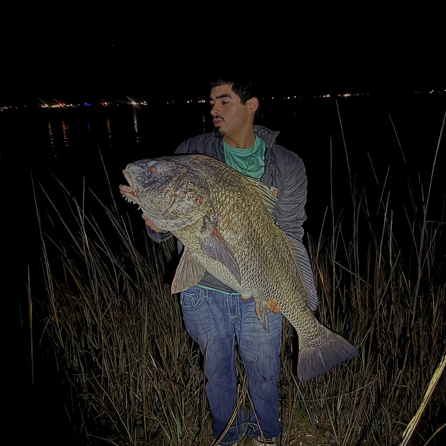 The most recent Black drum catches on Fishbrain