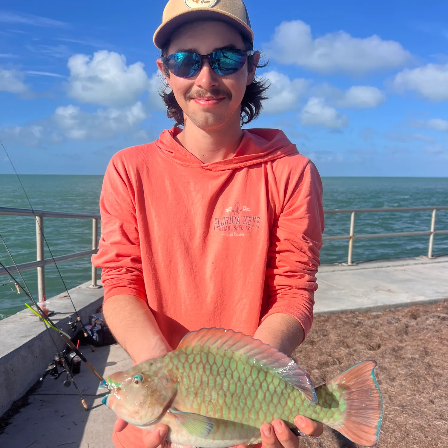The most recent Rainbow parrotfish catches on Fishbrain