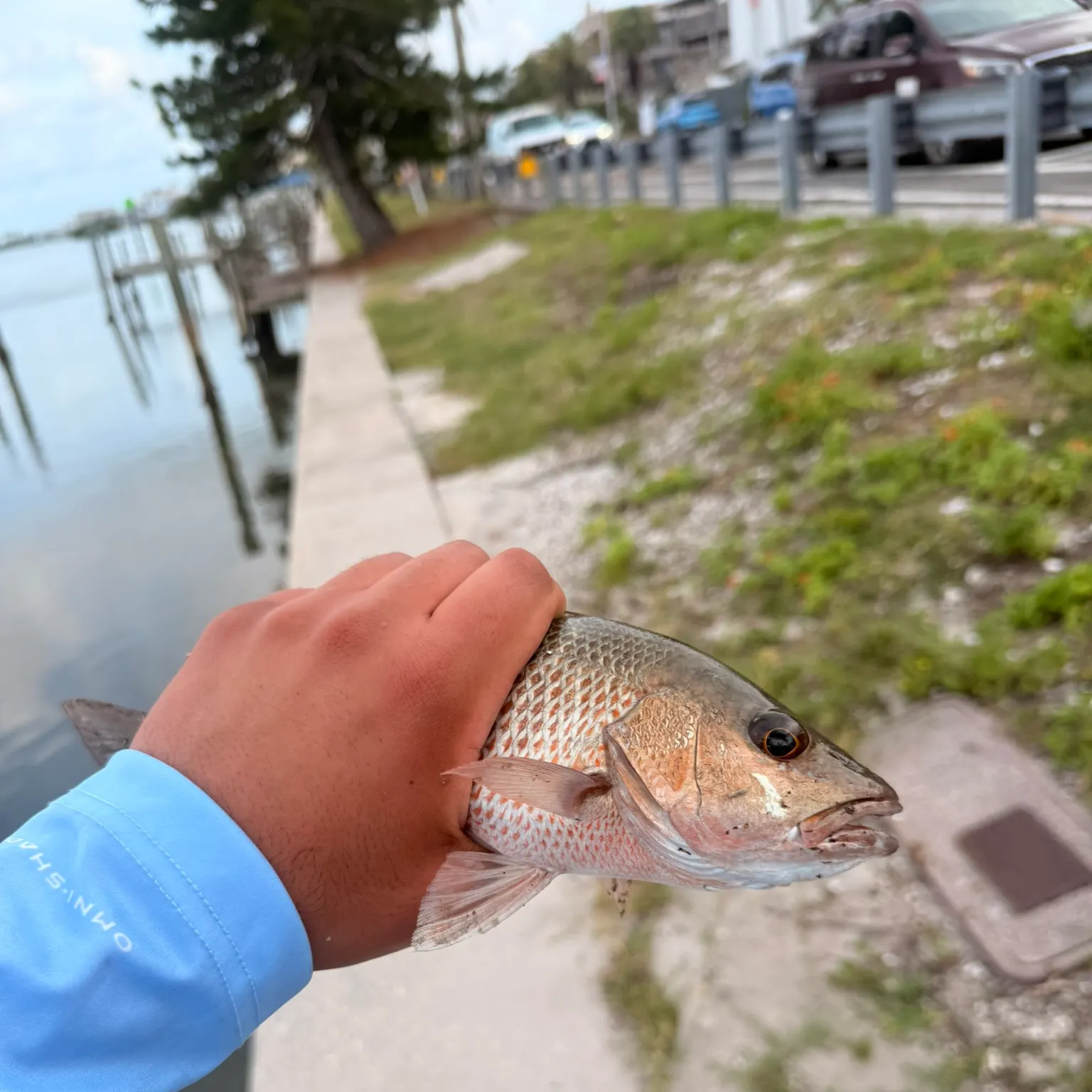 catch