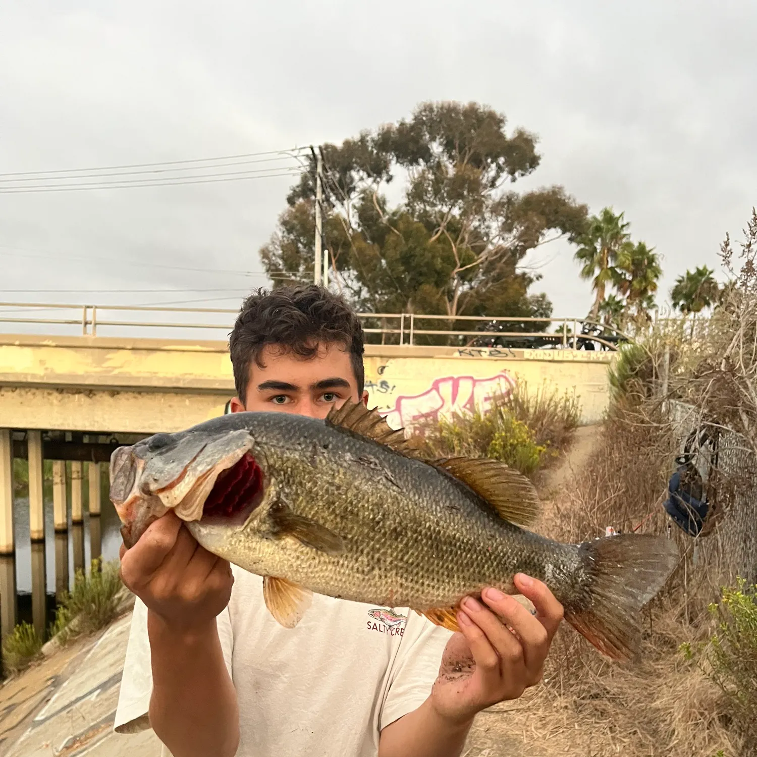 Largemouth bass caught on Fishbrain