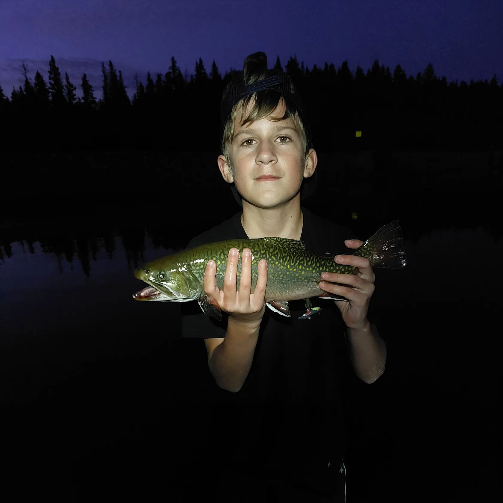 The most recent Brook trout catches on Fishbrain