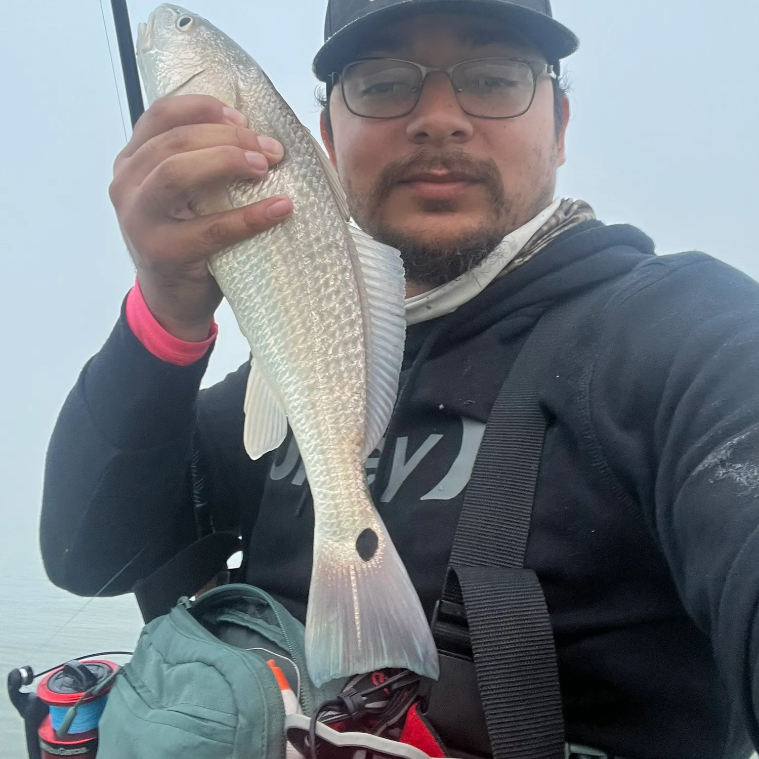 The most recent Red drum catches on Fishbrain