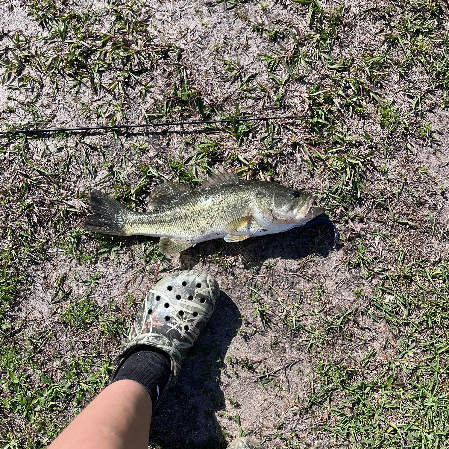 angler catch