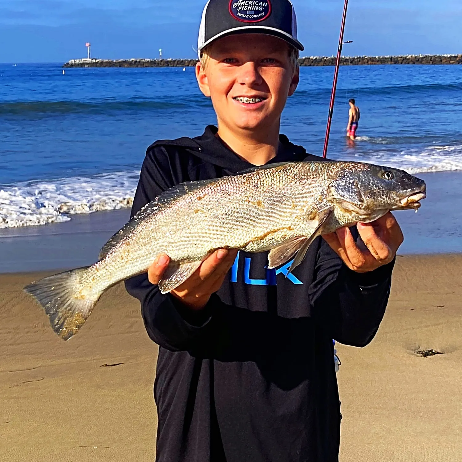 California corbina caught on Fishbrain