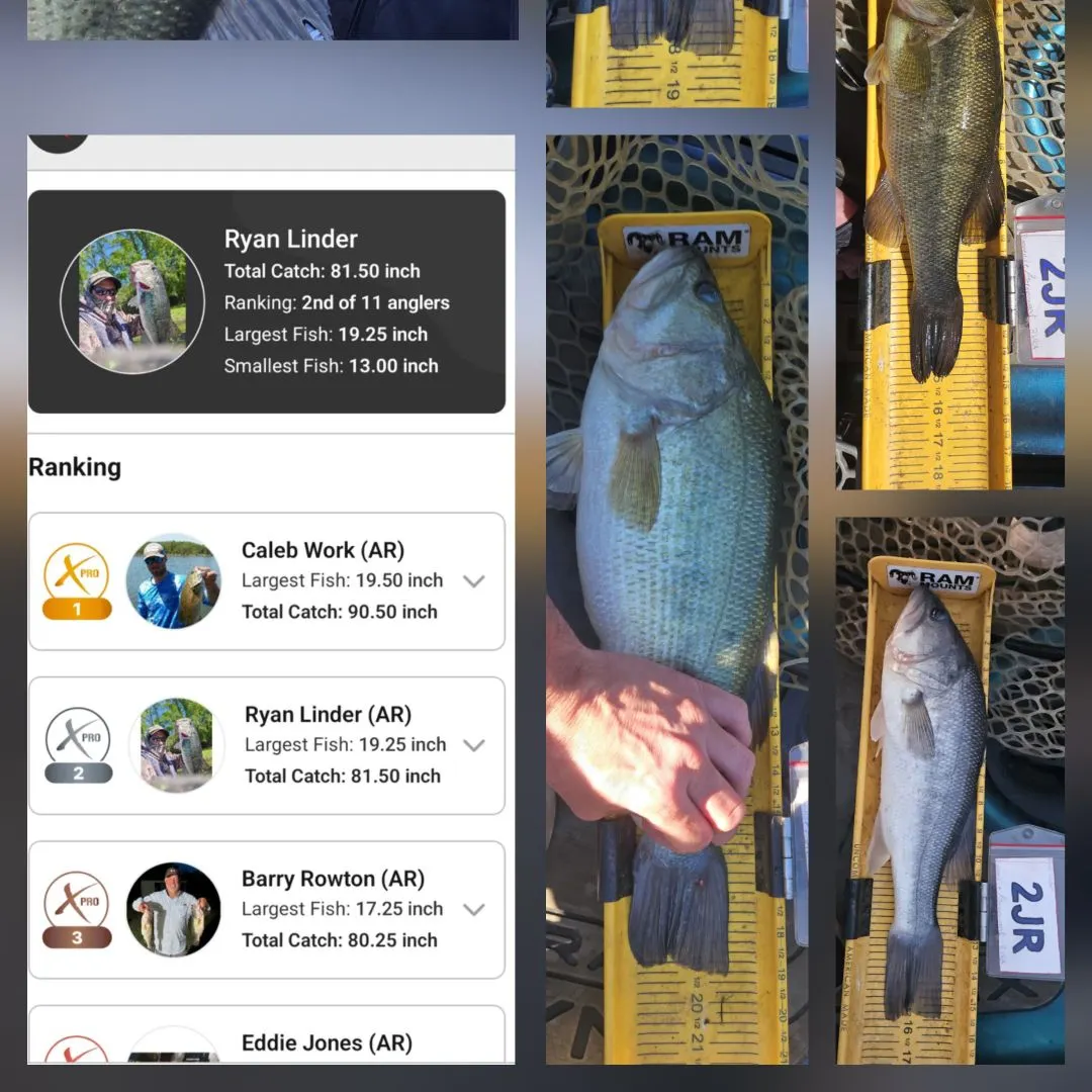 recently logged catches