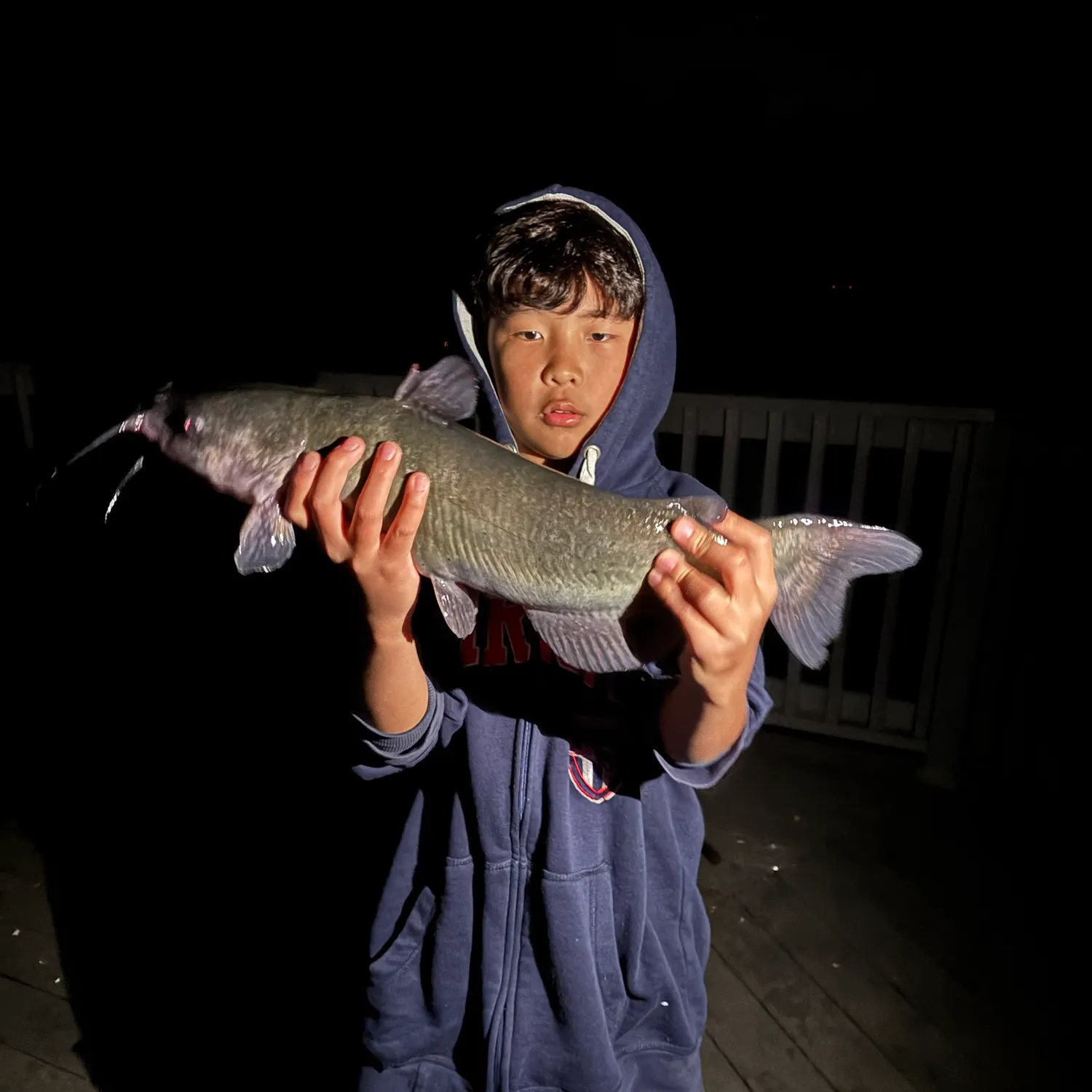 Channel catfish caught on Fishbrain