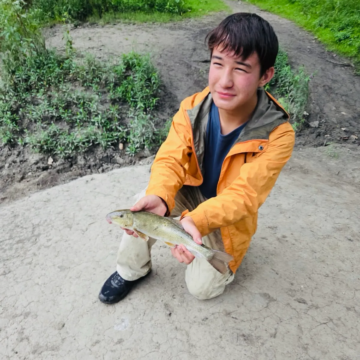 White sucker caught on Fishbrain