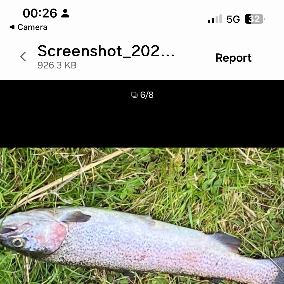 recently logged catches