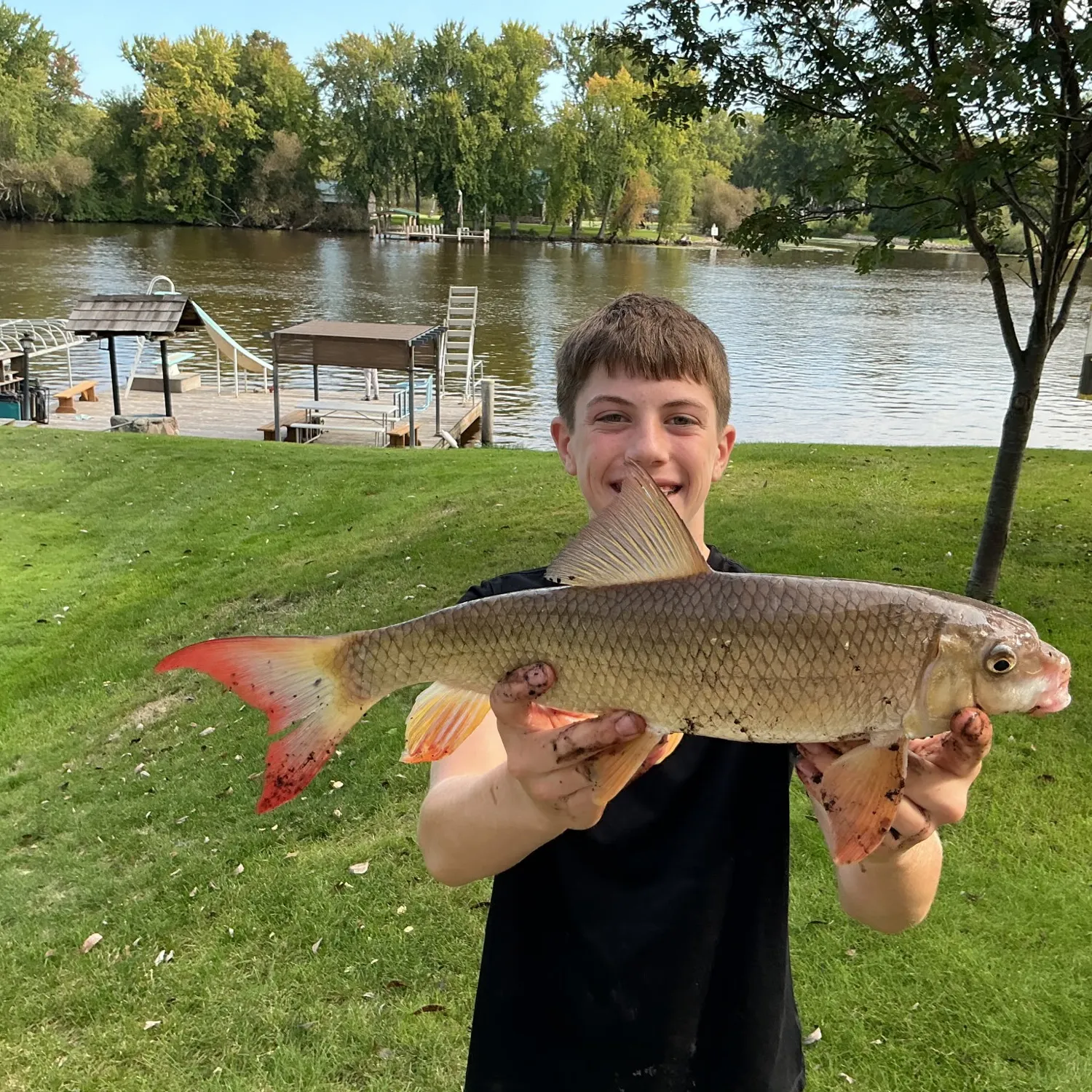 Shorthead redhorse caught on Fishbrain