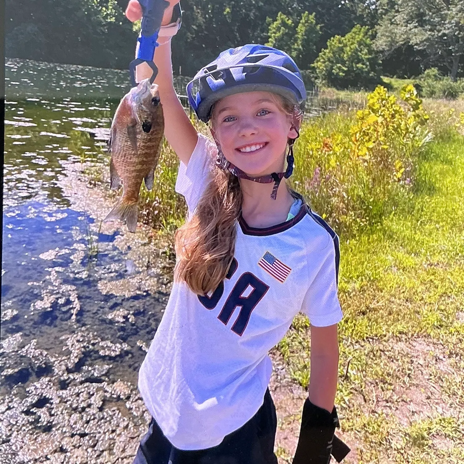 Bluegill caught on Fishbrain