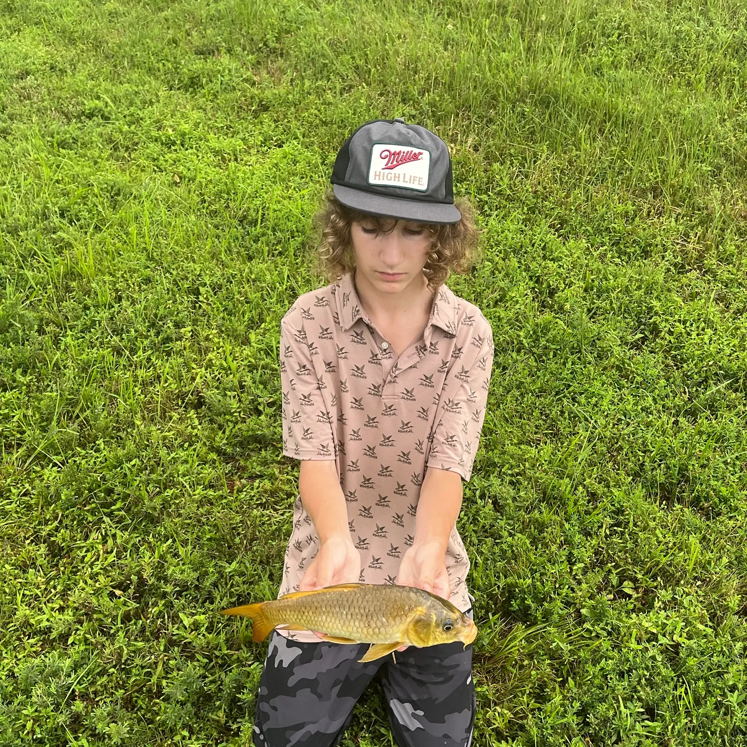 Koi x common carp caught on Fishbrain