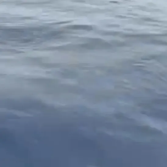 The most recent Indo-Pacific blue marlin catches on Fishbrain