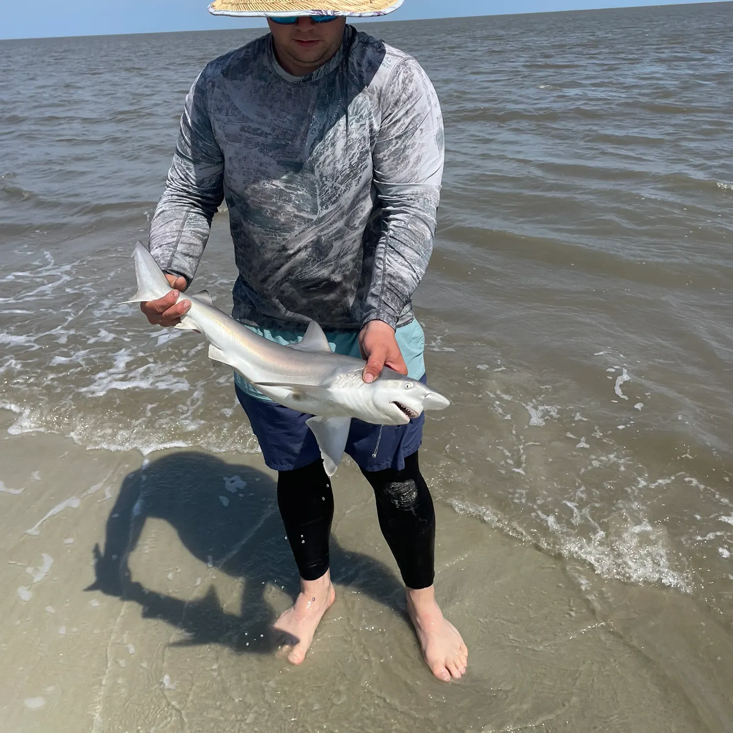 The most recent Atlantic sharpnose shark catches on Fishbrain