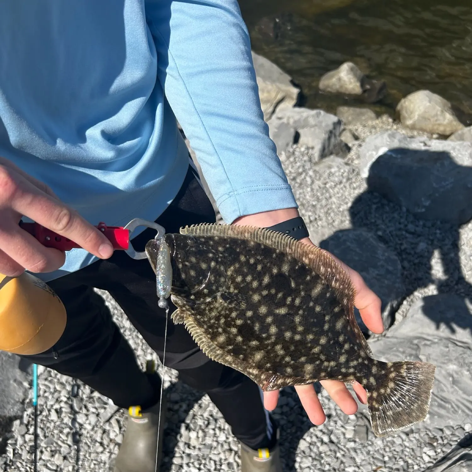 angler catch