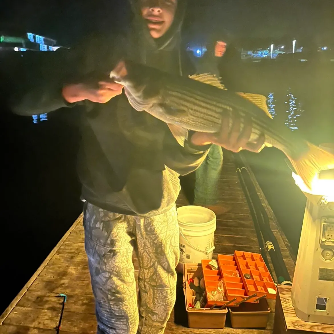Striped bass caught on Fishbrain