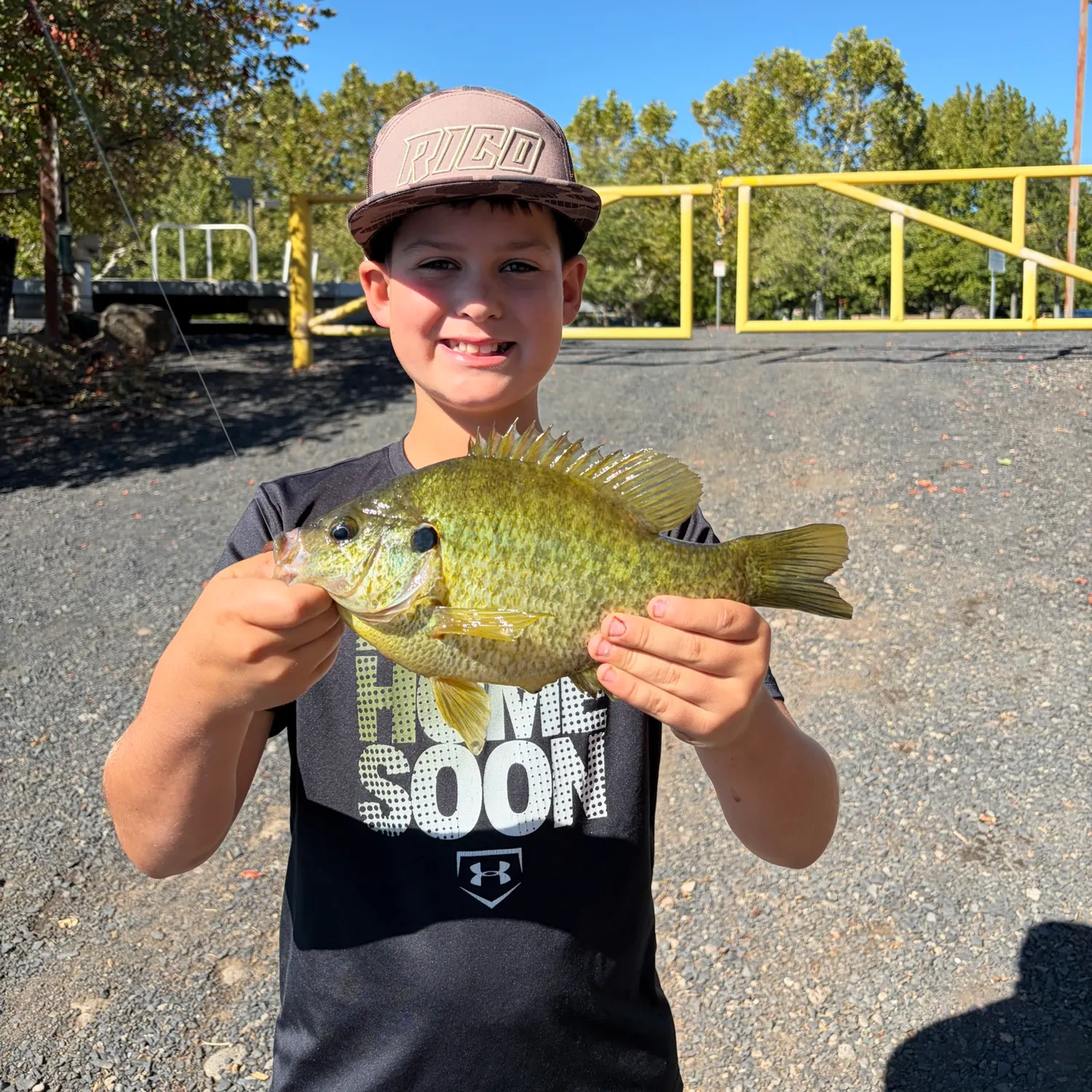 Bluegill caught on Fishbrain