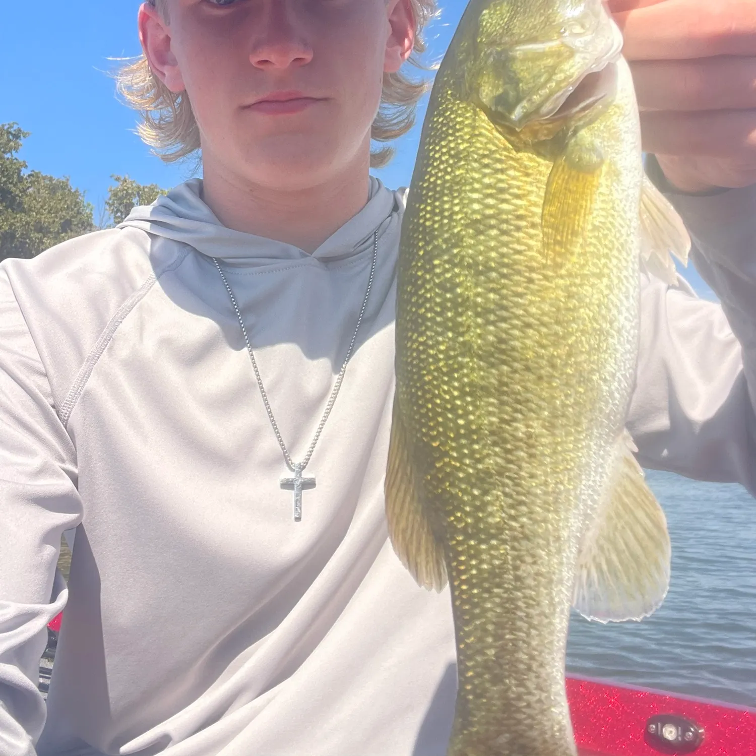 The most recent Meanmouth bass catches on Fishbrain