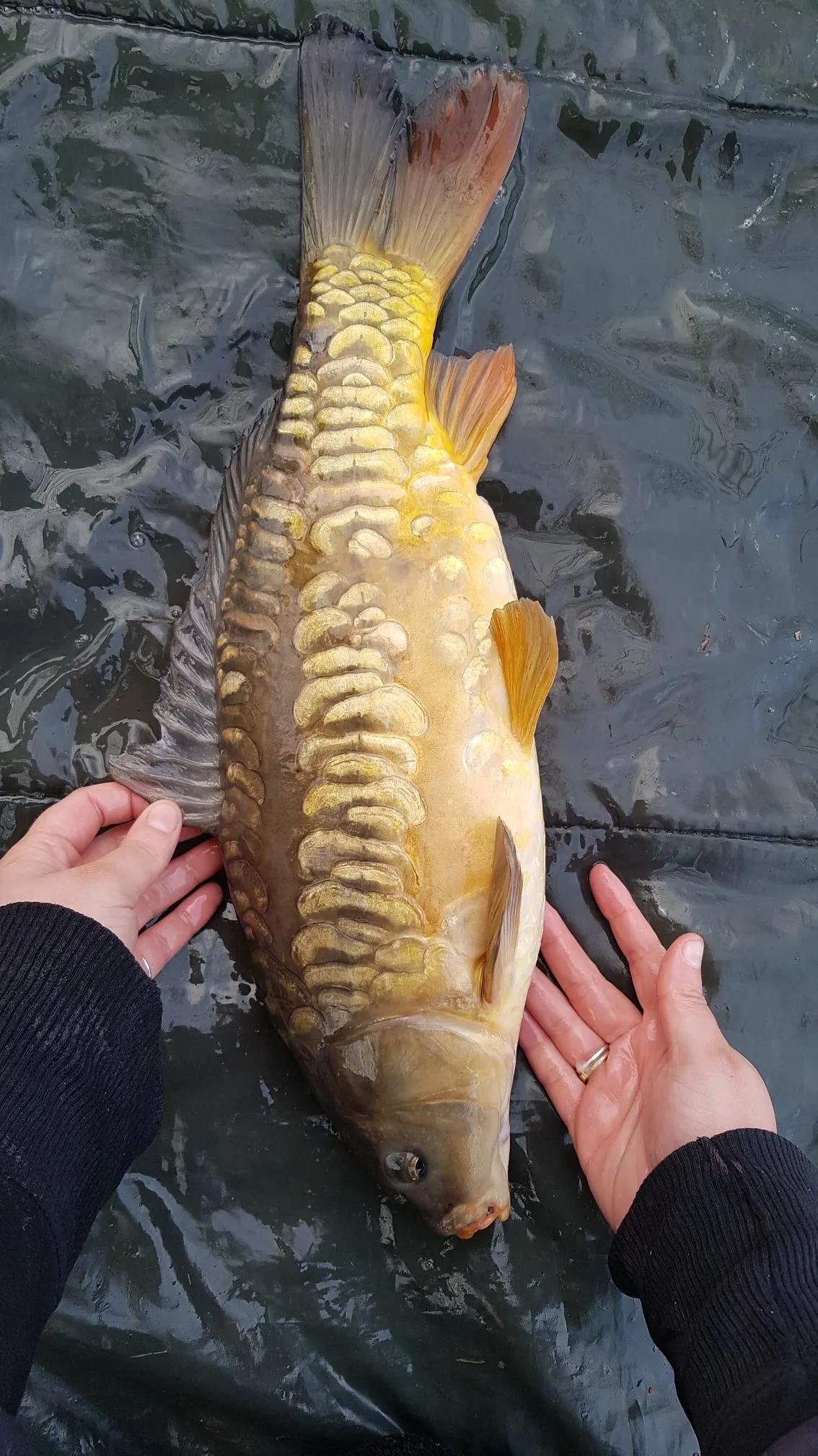 Post image from jevans3935