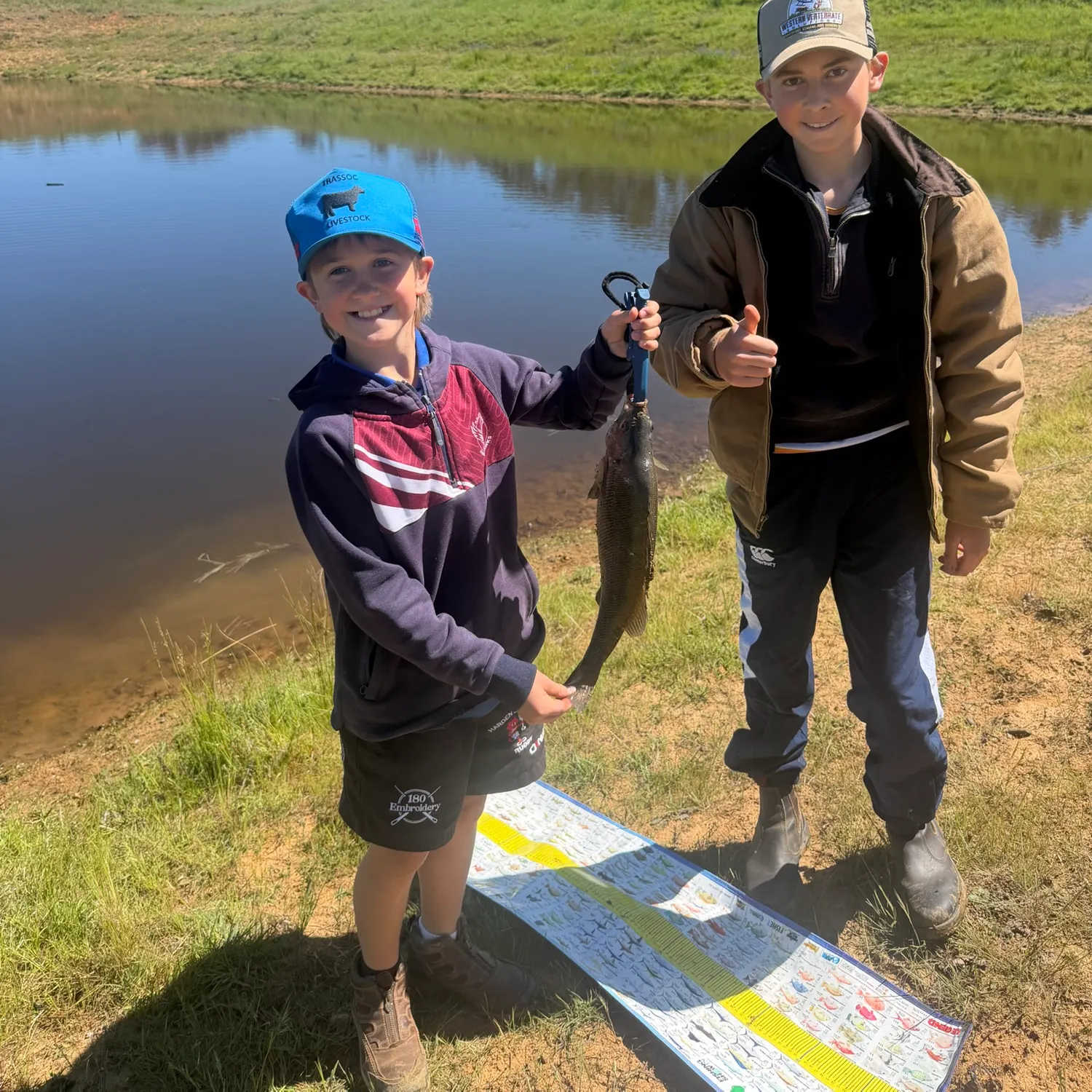 Bidyan perch caught on Fishbrain