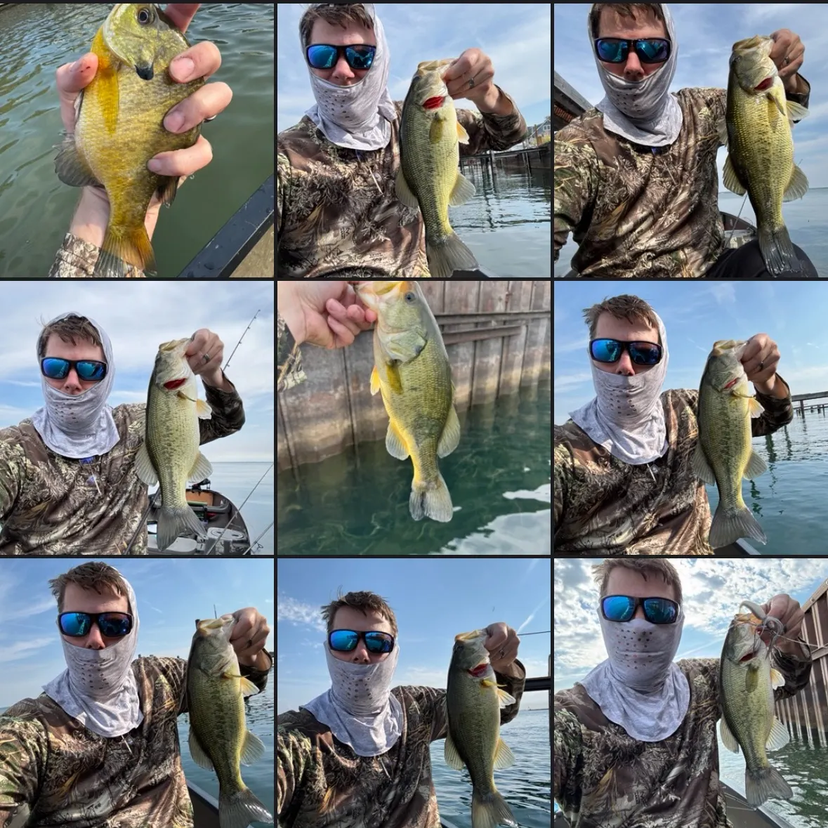 recently logged catches