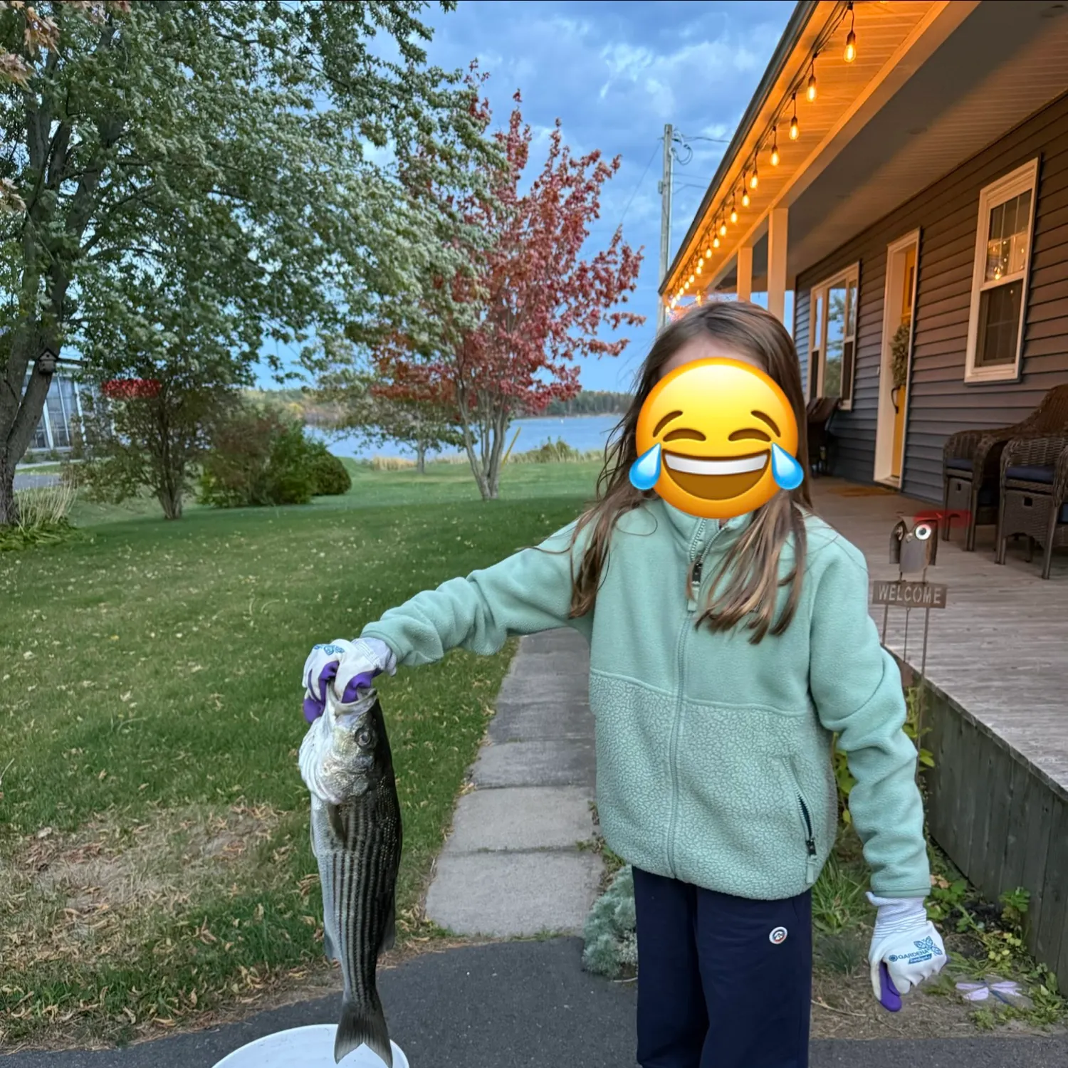 Striped bass caught on Fishbrain