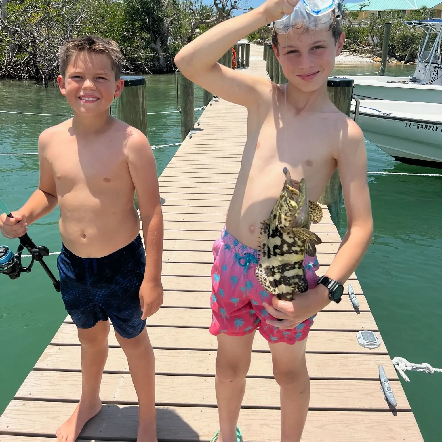 The most recent Atlantic goliath grouper catches on Fishbrain
