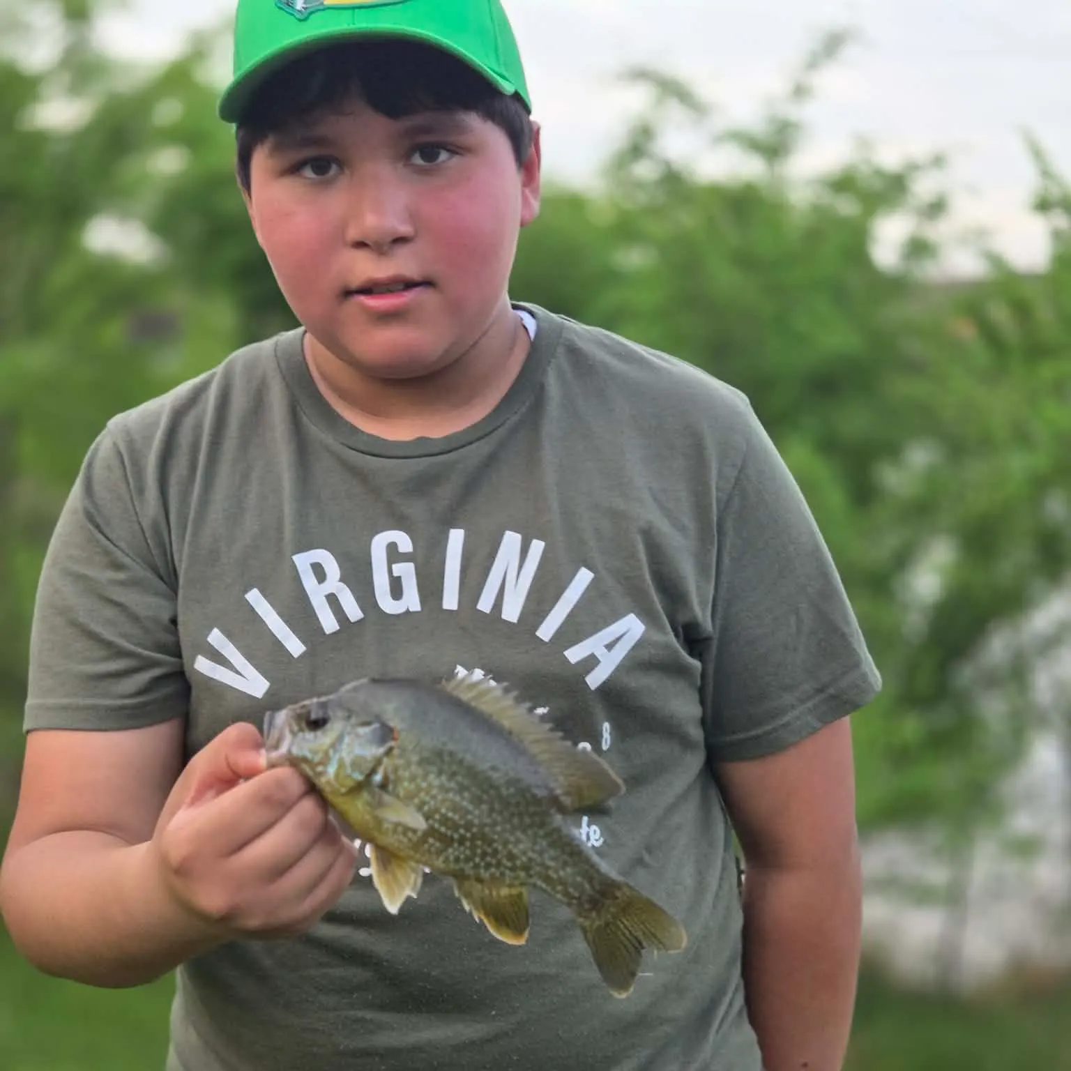 The most recent Greengill hybrid catches on Fishbrain