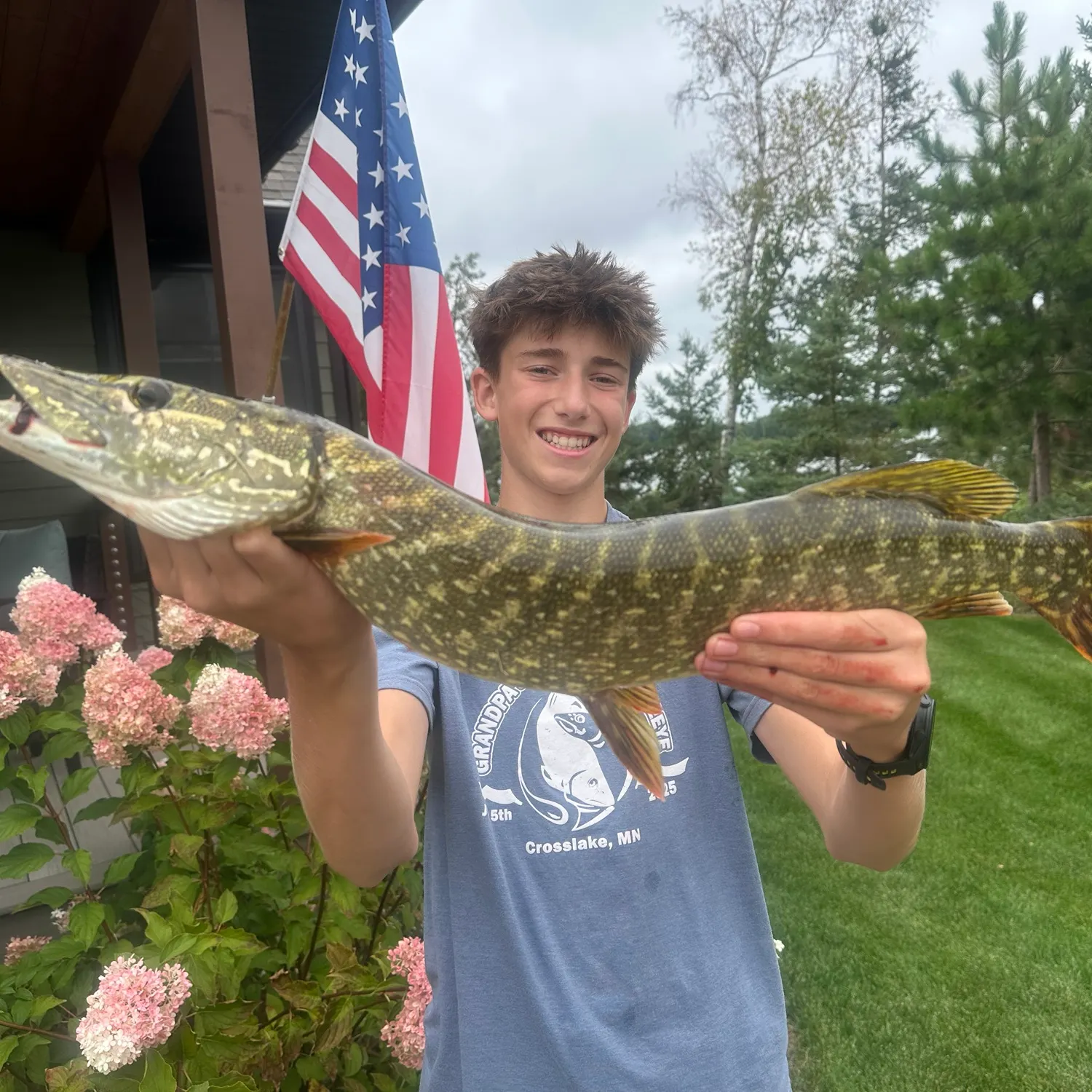 Northern pike caught on Fishbrain