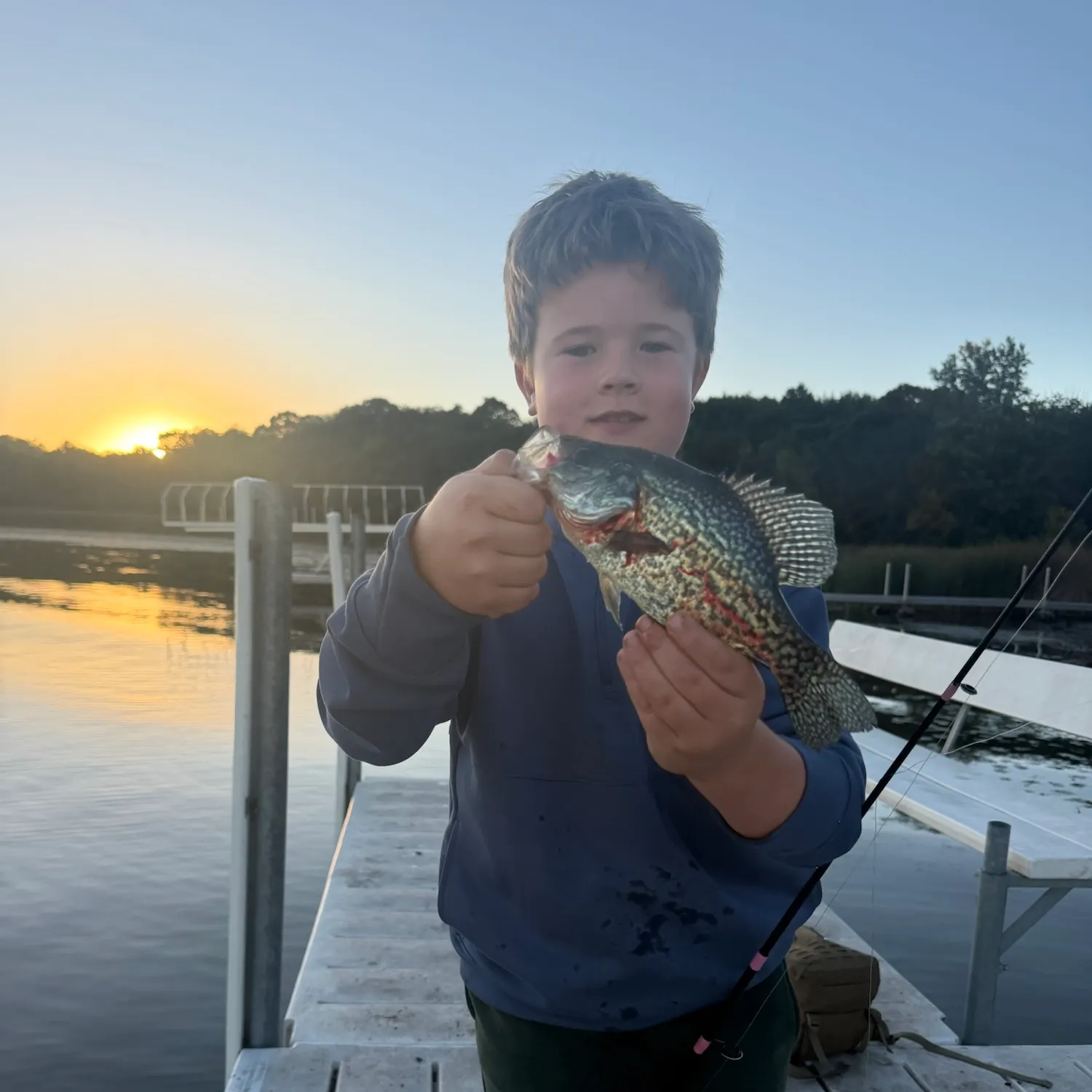 Black crappie caught on Fishbrain