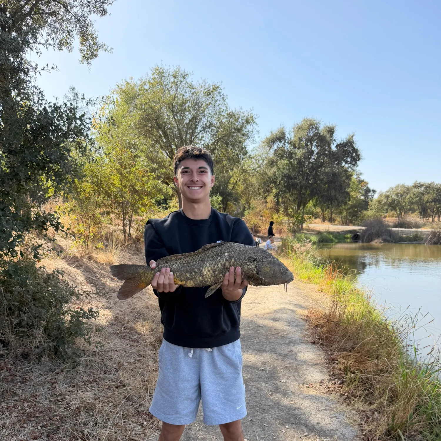 Common carp caught on Fishbrain