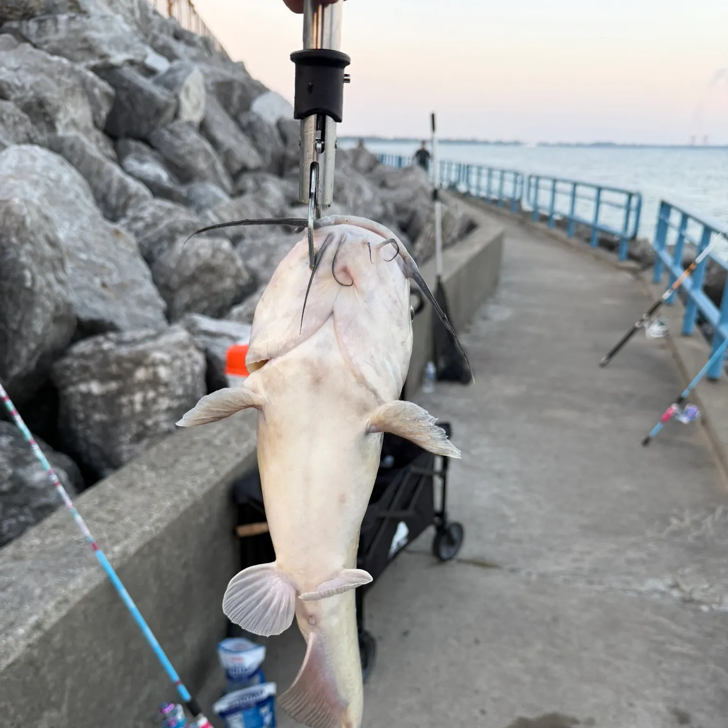 catch