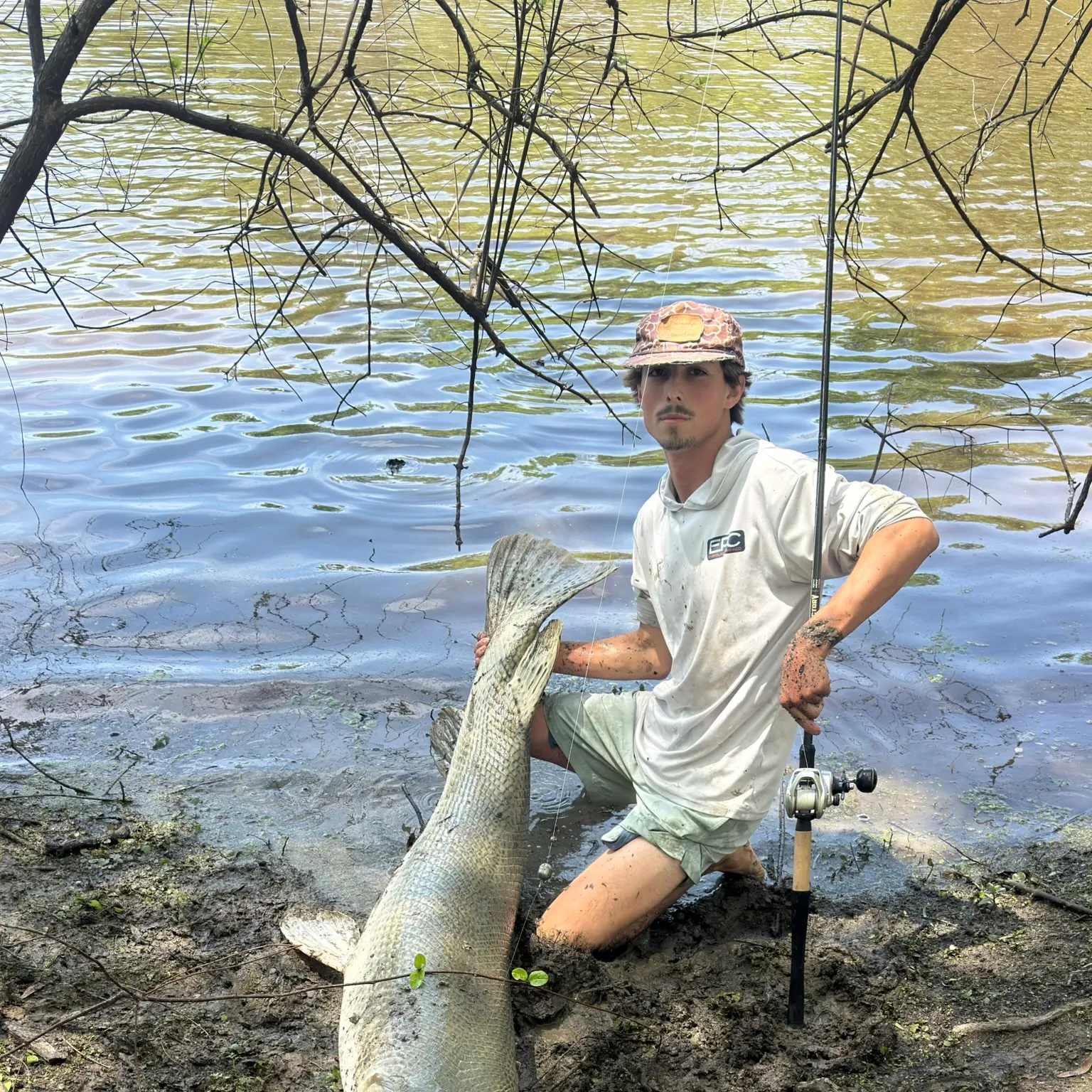 Alligator gar caught on Fishbrain