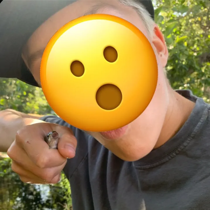 The most recent California roach catches on Fishbrain