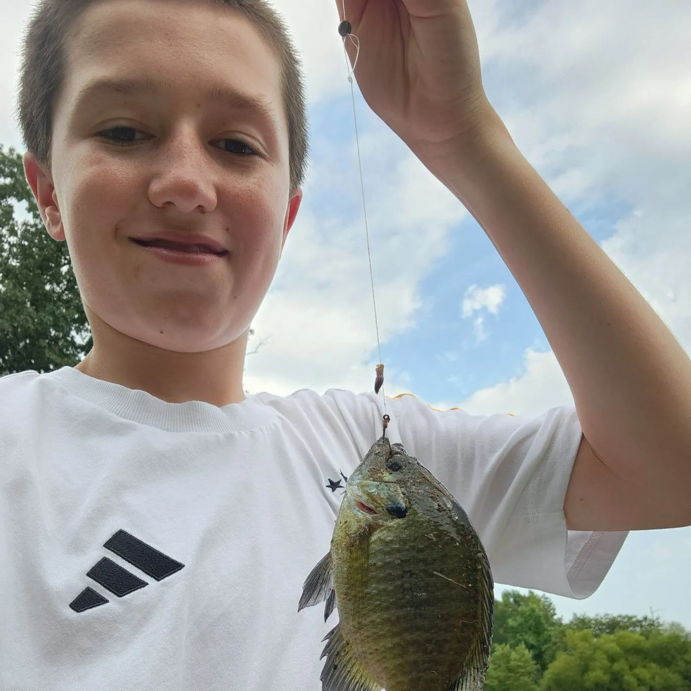 Bluegill caught on Fishbrain