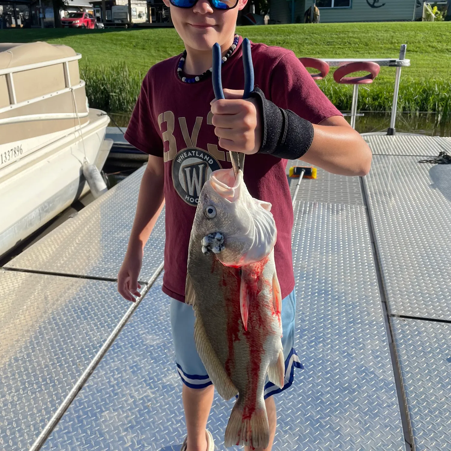 Fish caught on Fishbrain