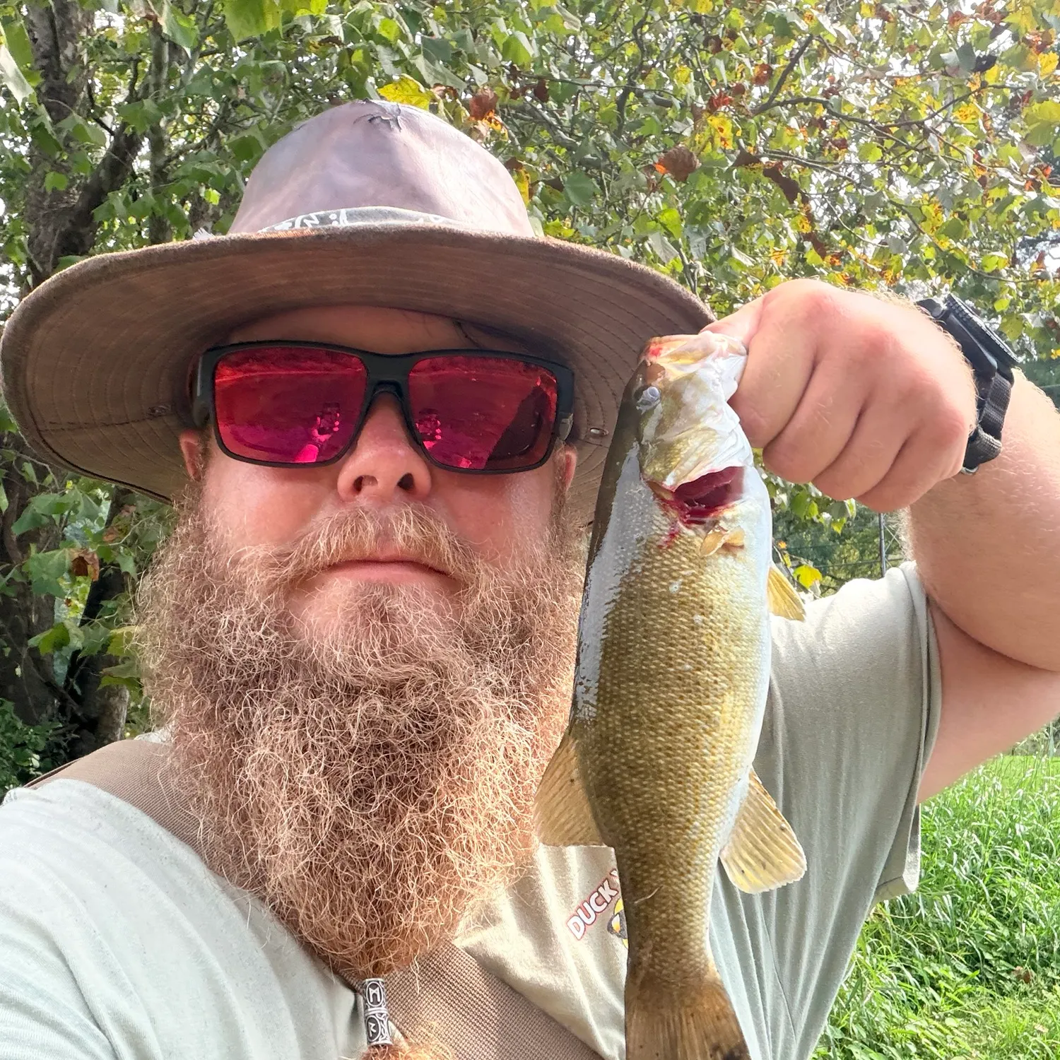 Smallmouth bass caught on Fishbrain