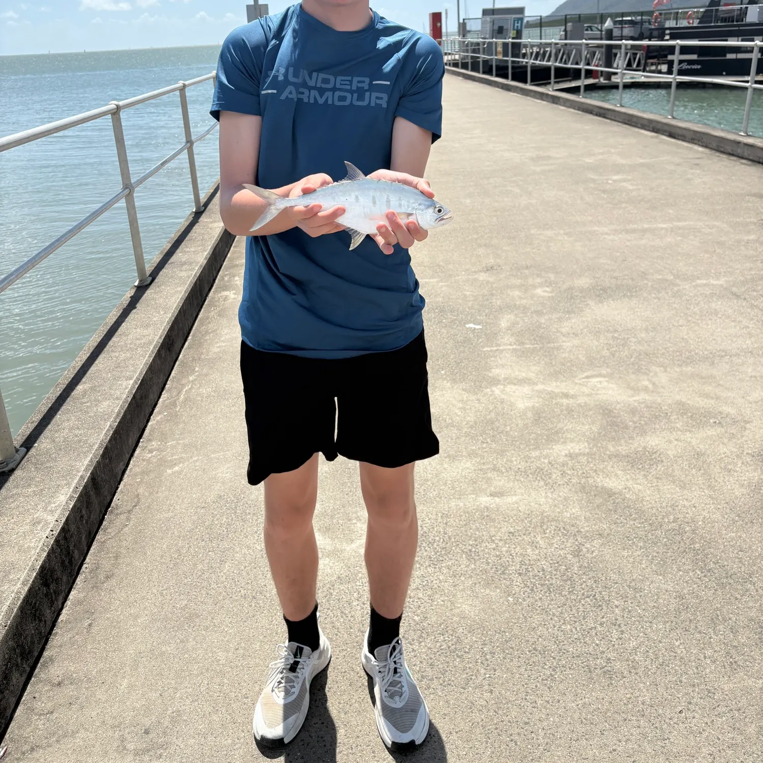 Talang queenfish caught on Fishbrain