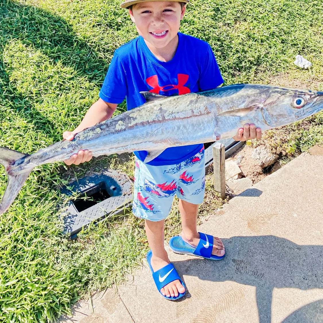 The most recent King mackerel catches on Fishbrain