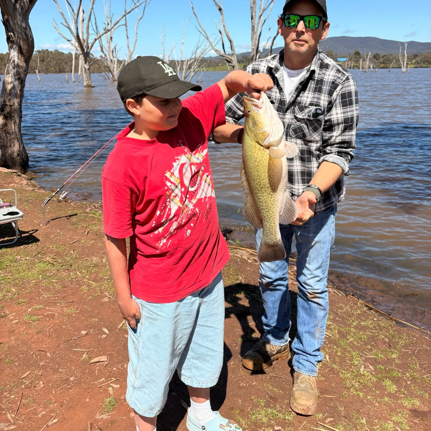 Murray cod caught on Fishbrain