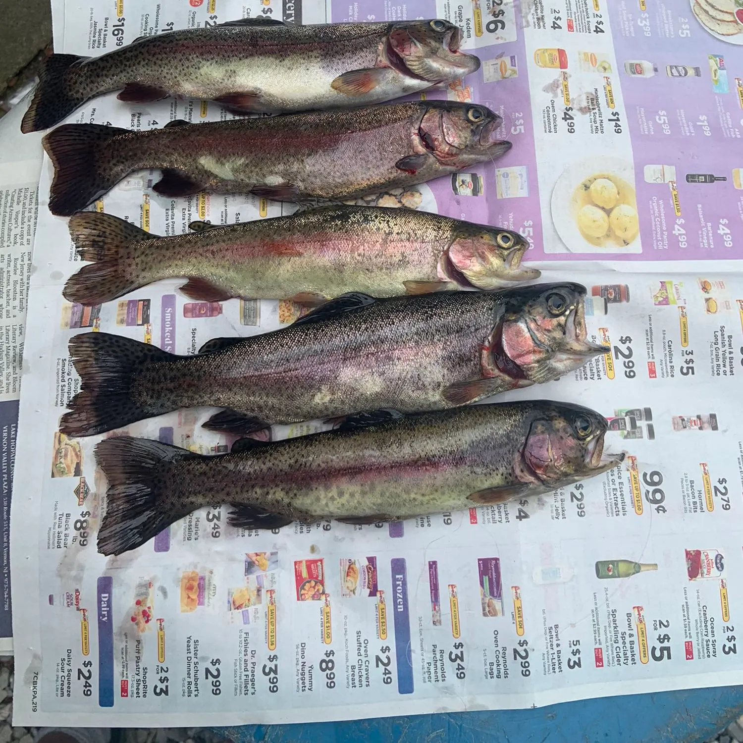 recently logged catches