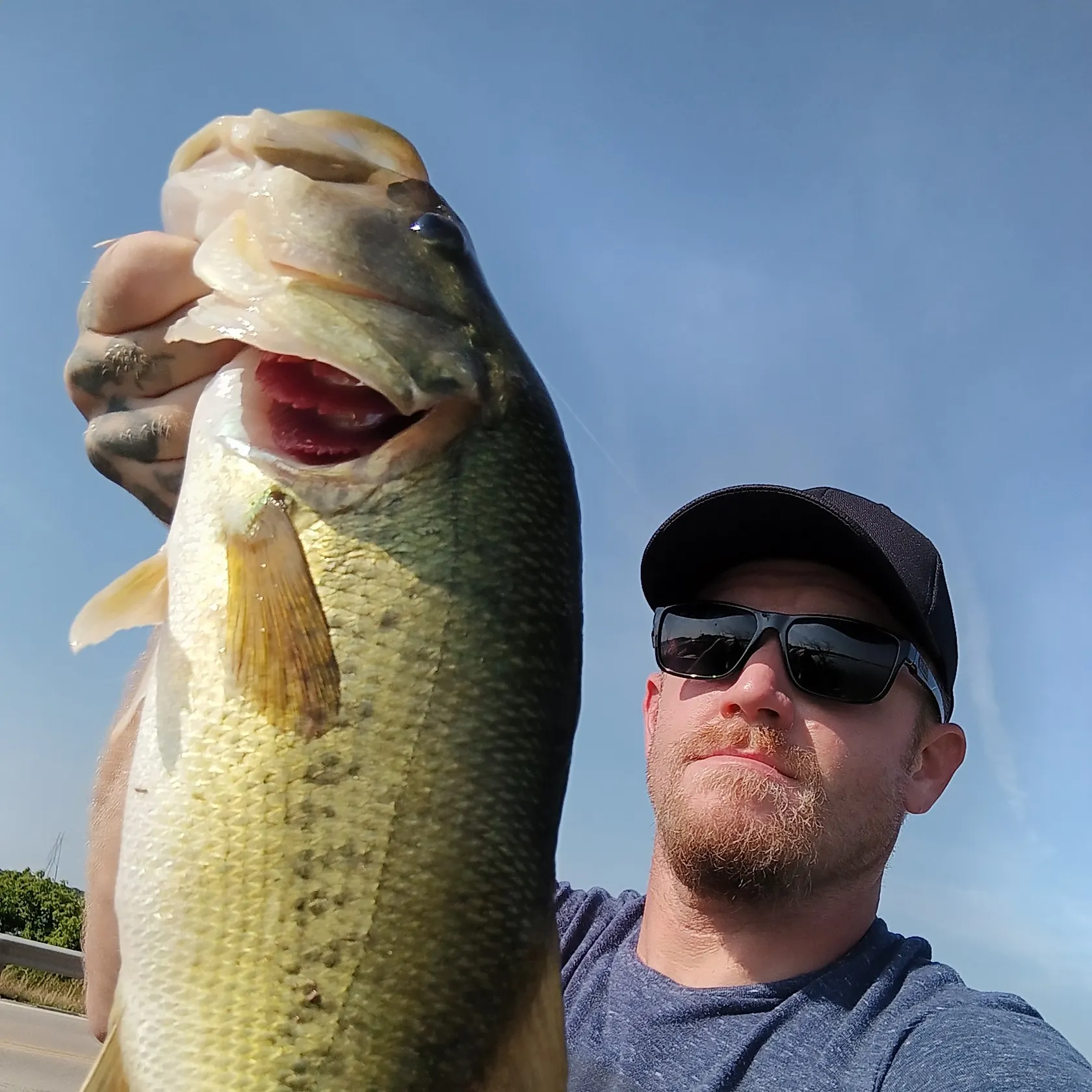 angler catch