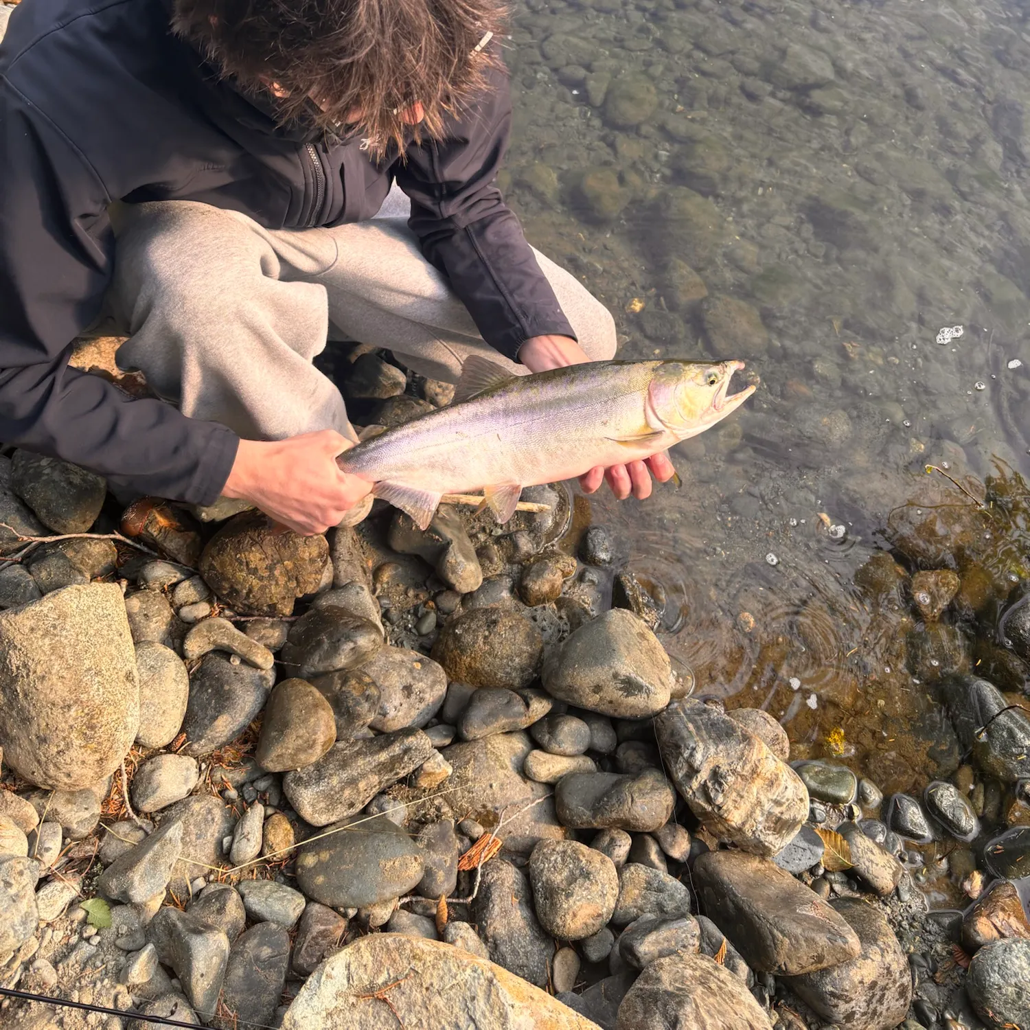 Pink salmon caught on Fishbrain