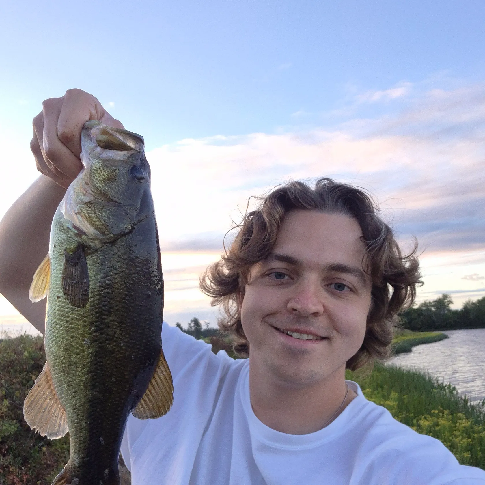 Largemouth bass caught on Fishbrain