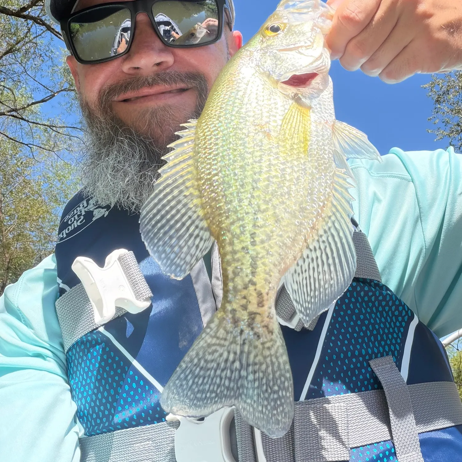 White crappie caught on Fishbrain